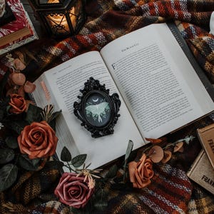 May include: An open book with the title "The Black Cat" on the cover. A black framed picture of a moth with a moon and stars is on the page. The book is on a plaid blanket with a magnifying glass and other books.
