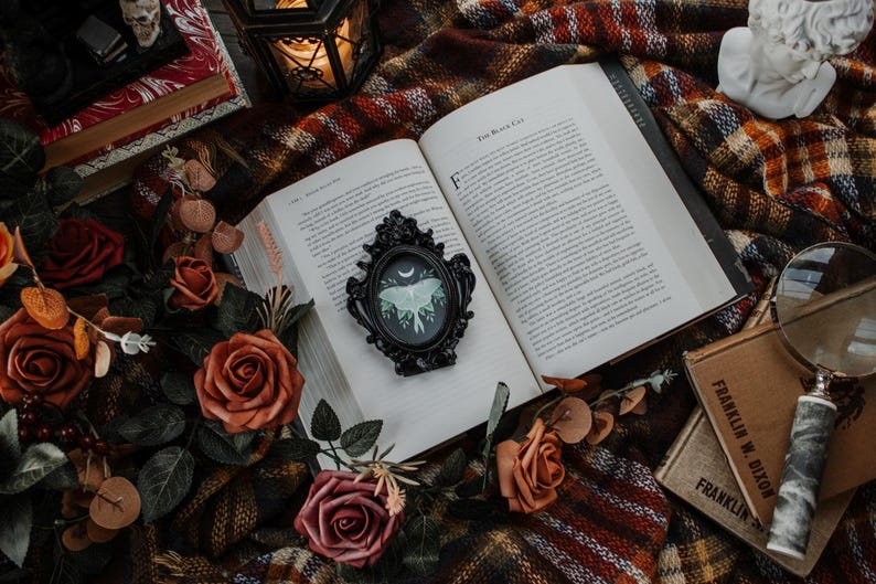 May include: An open book with the title "The Black Cat" on the cover. A black framed picture of a moth with a moon and stars is on the page. The book is on a plaid blanket with a magnifying glass and other books.