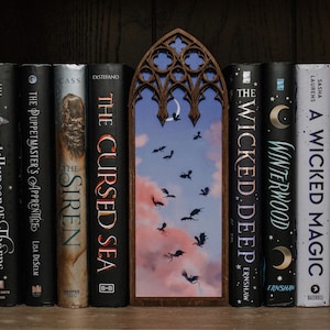 Decoração de estante de janela de catedral de fantasia sonhadora de 13 dragões | Book Nook