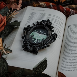 May include: A black ornate picture frame with a green and white moth illustration inside. The frame is sitting on top of an open book with the title "The Black Cat" visible on the page.