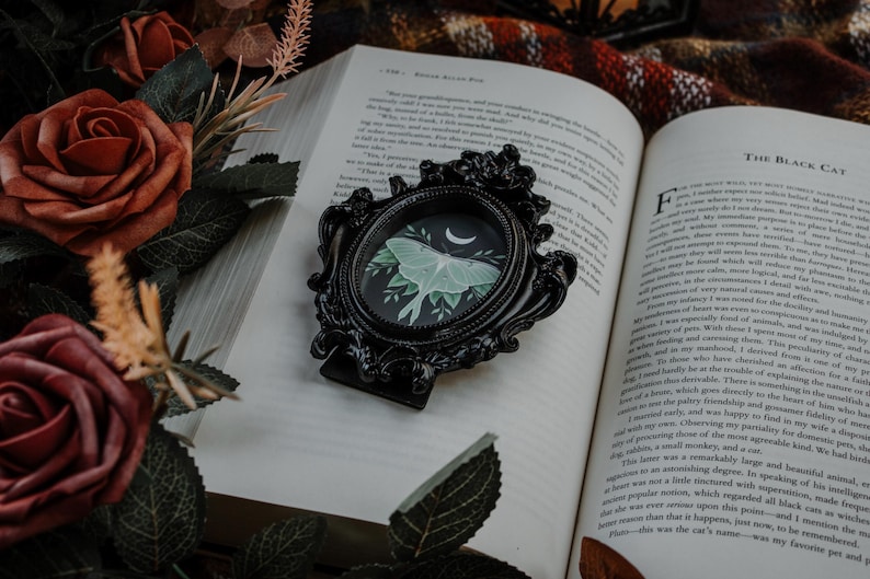 May include: A black ornate picture frame with a green and white moth illustration inside. The frame is sitting on top of an open book with the title "The Black Cat" visible on the page.