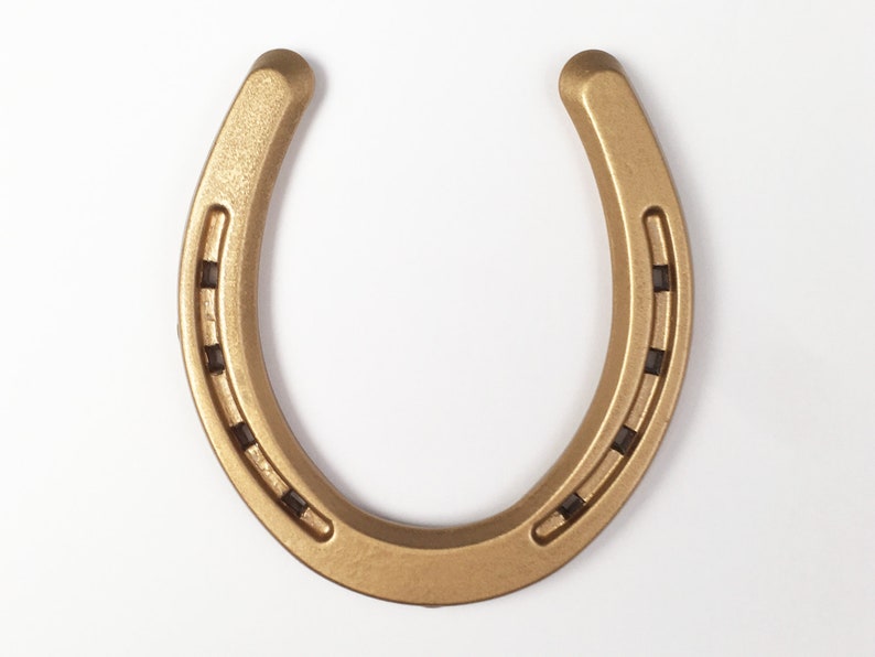 GOLD Horseshoe, Painted Horseshoe, Montana Lucky Horseshoe, Colorful