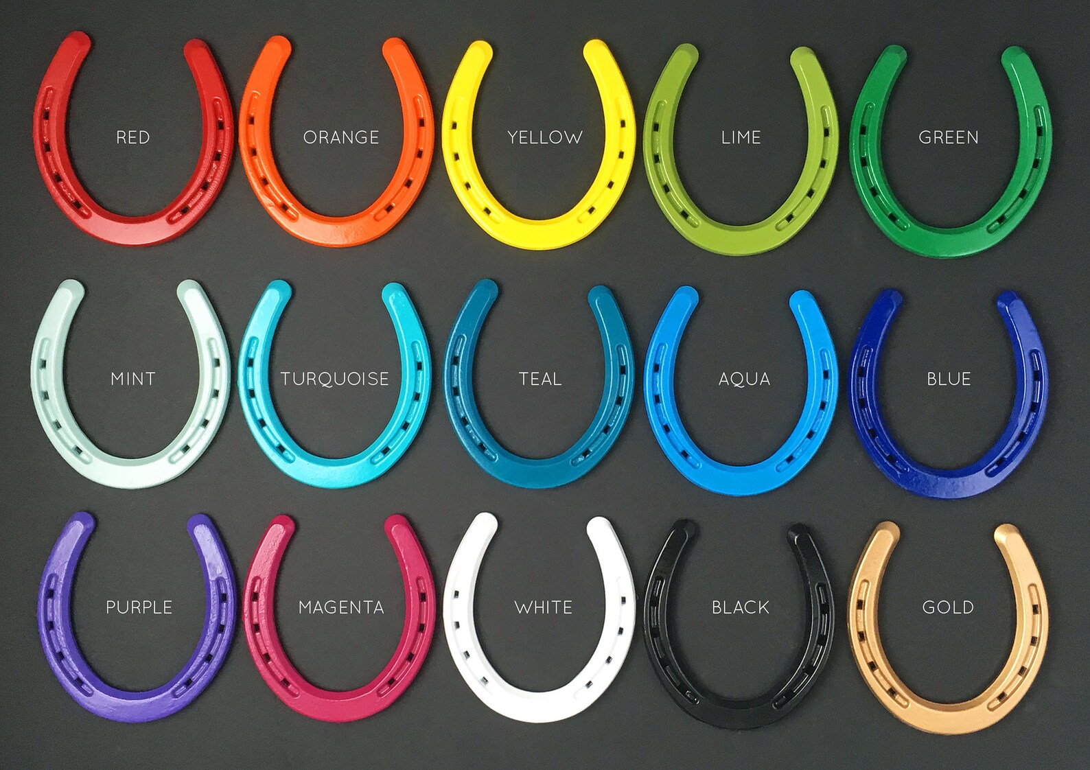 ORANGE Horseshoe Painted Horseshoe Montana Lucky Horseshoe - Etsy