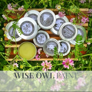 May include: A collection of eight small, round, silver tins with black labels and white text. The tins contain furniture salve with various scents, including Egyptian Lotus, Bergamot Lime, Bioluminescent Bay, Bourbon Vanilla, and Midsummer Rain. The tins are arranged on a wooden cutting board surrounded by green foliage and pink flowers. The text "WISE OWL PAINT" is displayed at the bottom of the image.