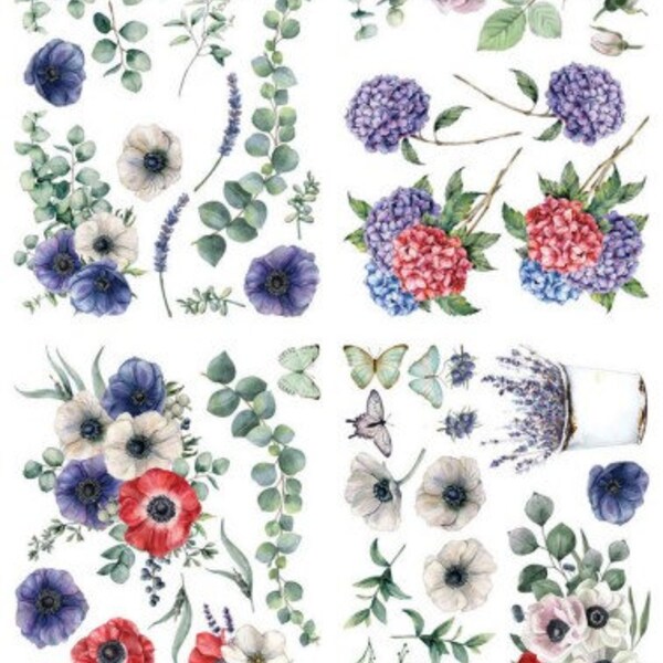 Dixie Belle Transfer Etsy