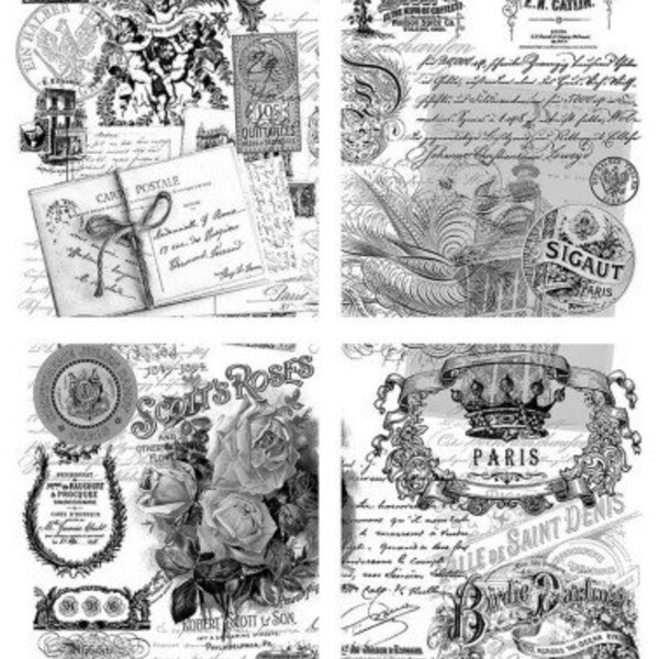 Dixie Belle Transfer Etsy