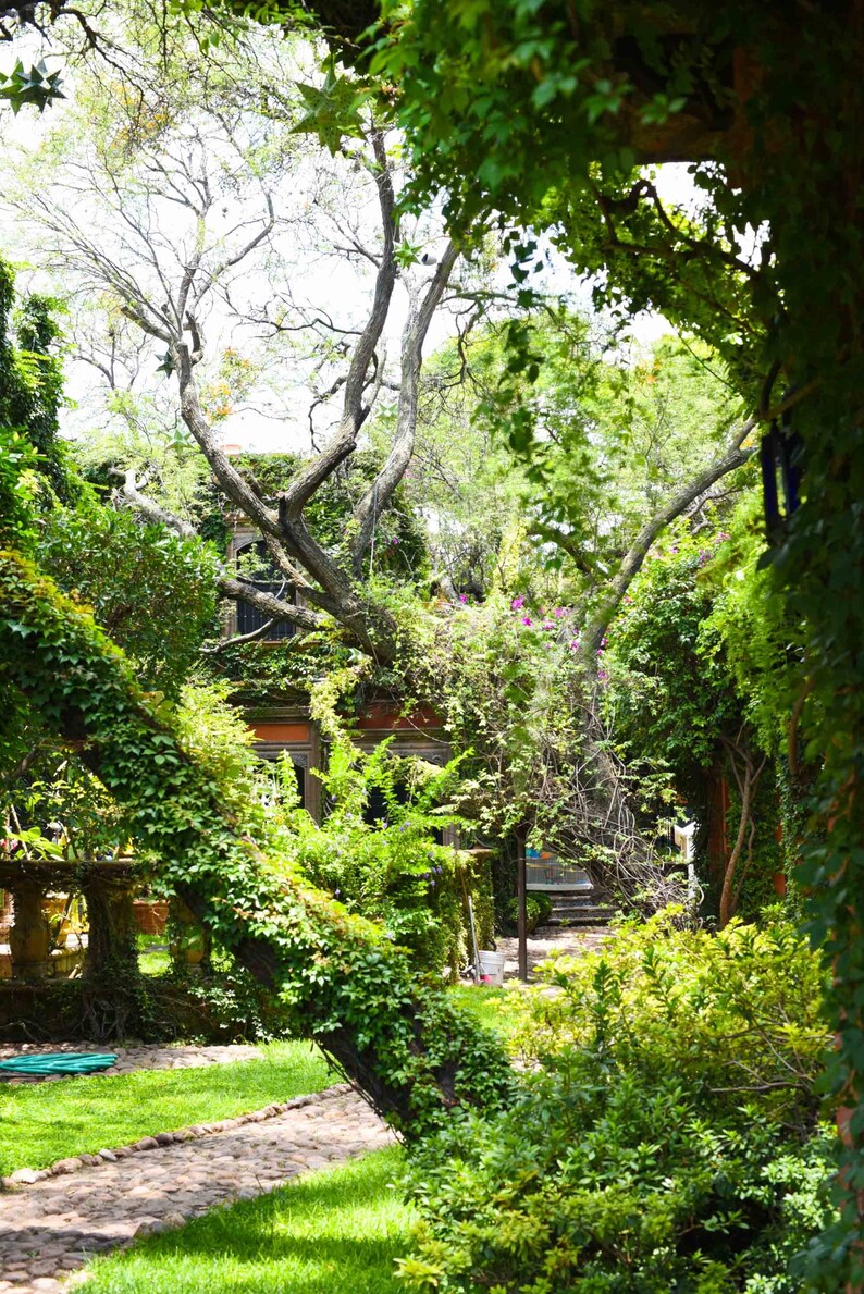 San Miguel De Allende Casa Hyder Travel Photography Mexico Etsy