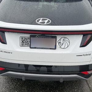 Seven Lions License Plate DECAL - Colors!!