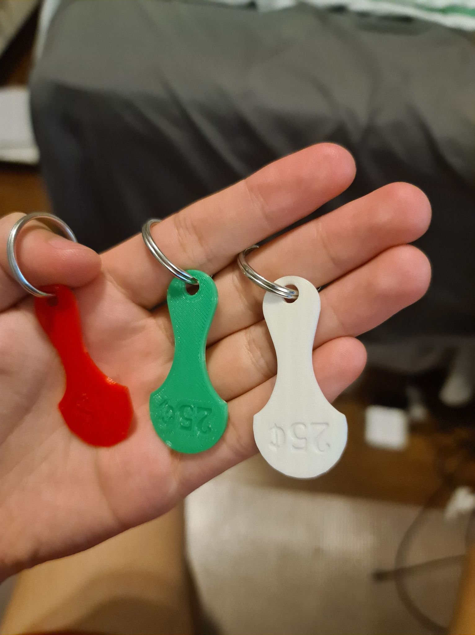Shopping Cart Key // Loonie or Quarter Size FREE SHIPPING Etsy Canada