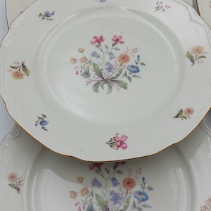 Set of 6 dessert plates and tray VEB R Germany set 6 piatti dessert