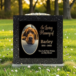 May include: A black pet memorial stone with a speckled frame. The center features a photo of a brown dog in an oval frame, with the text "In Loving Memory of Barley 2011-2024 You Left Paw Prints on My Heart."