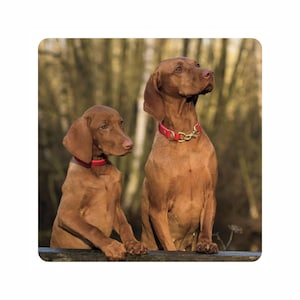 Personalised Own Picture Printed MDF Square Wall Art Various Sizes Available (UV PRINTED) Perfect For Wedding Birthday Anniversary