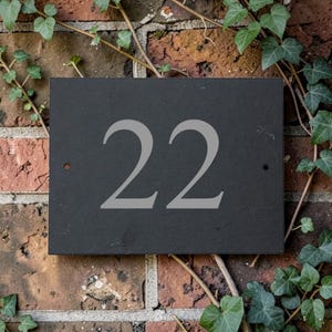 May include: A rectangular black slate house number plaque displaying the number "22" in light grey. The plaque is fixed to a brick wall, with green ivy and leaves growing around it.