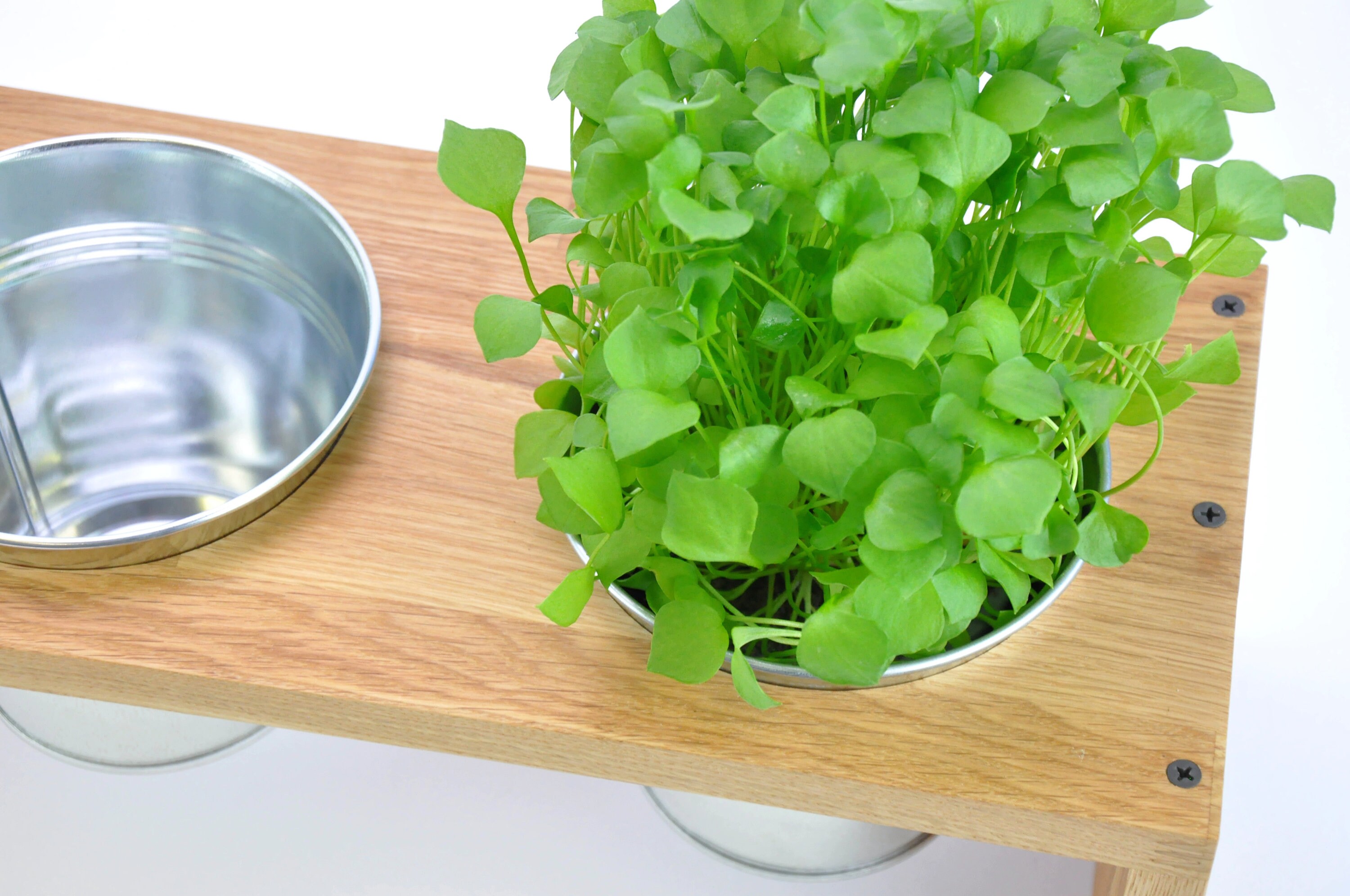 Indoor Kräuterhalter Kräutergarten Küche rustikal | Etsy