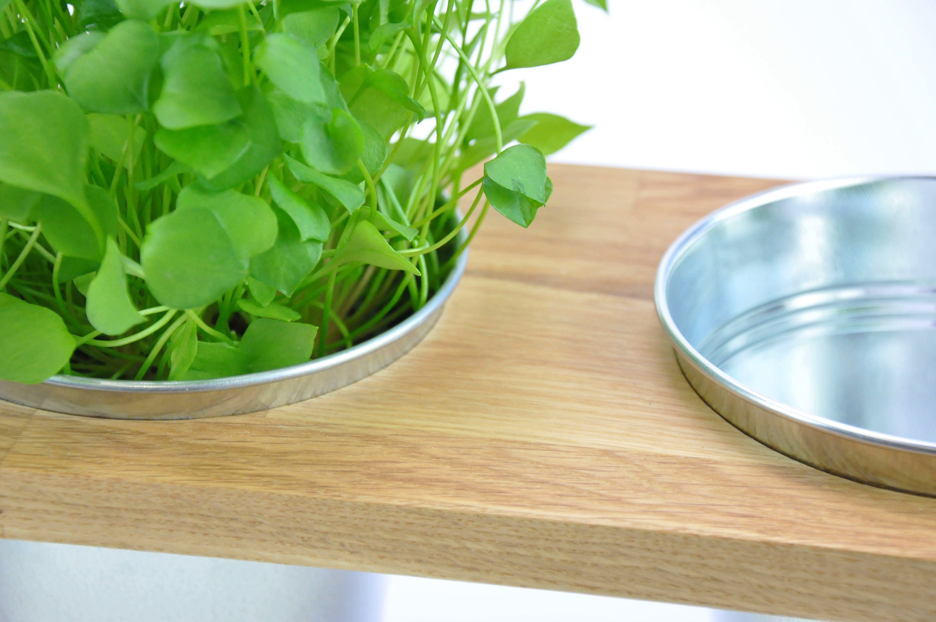 Indoor Kräuterhalter Kräutergarten Küche rustikal | Etsy