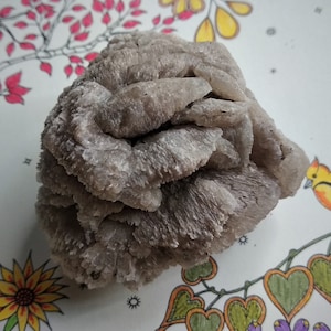 Gypsum crystal cluster