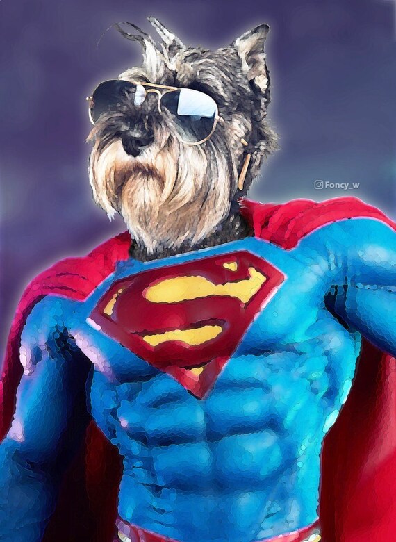 Super Dog Illustration Funny Pets Series 24 Inches or More - Etsy