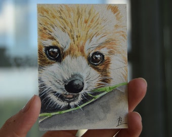 Wild animals cards collection Red Panda ACEO art Watercolor mini painting ATC ACEO original