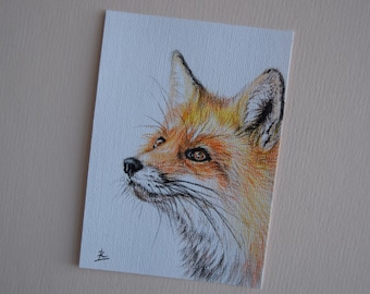 Wild animals cards collection Red Panda ACEO art Watercolor mini painting ATC ACEO original