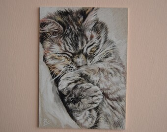 Watercolor Art ACEO Numbat Archival Print