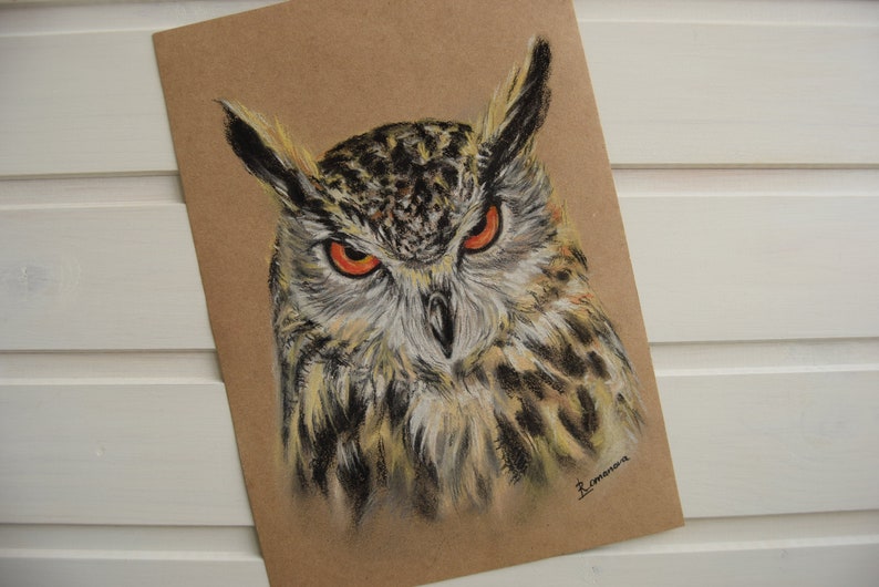 Owl Original hand drawn drawing birds Pastel Super Ranking TOP5 special price