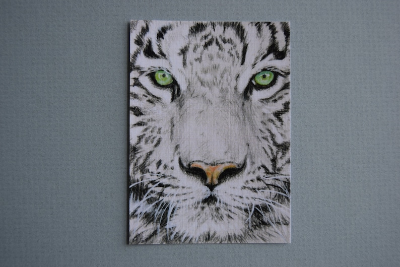 ACEO cards collection Copy original Animals mini painting Wild cats Tiger