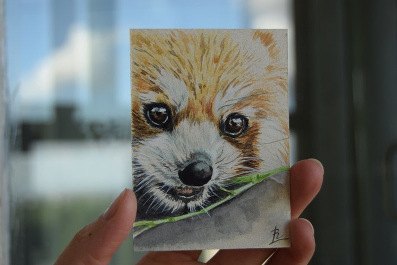 Wild animals cards collection Red Panda ACEO art Watercolor mini painting ATC ACEO original