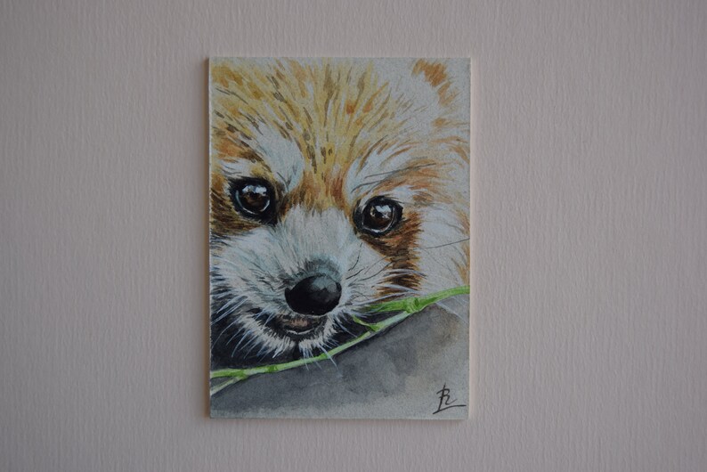 Wild animals cards collection Red Panda ACEO art Watercolor mini painting ATC ACEO original