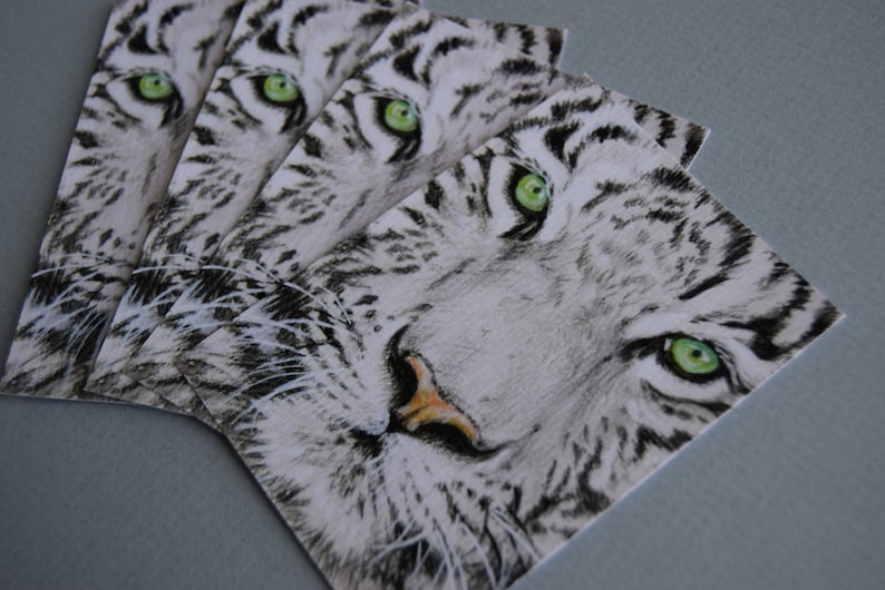 ACEO cards collection Copy original Animals mini painting Wild cats Tiger