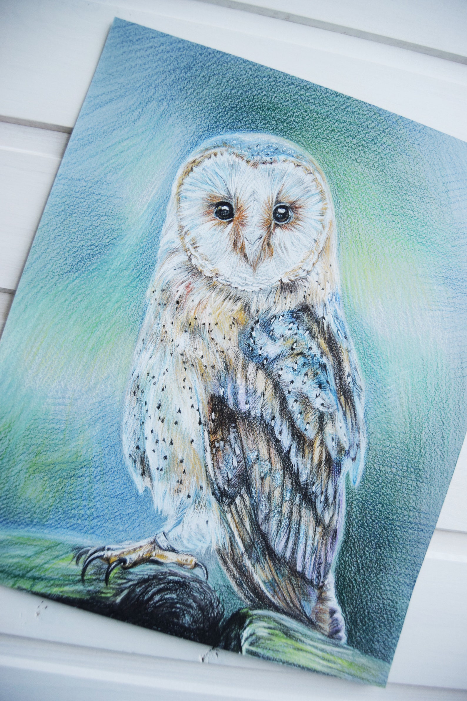Original hand drawn Barn Owl colored pencils drawing birds Etsy