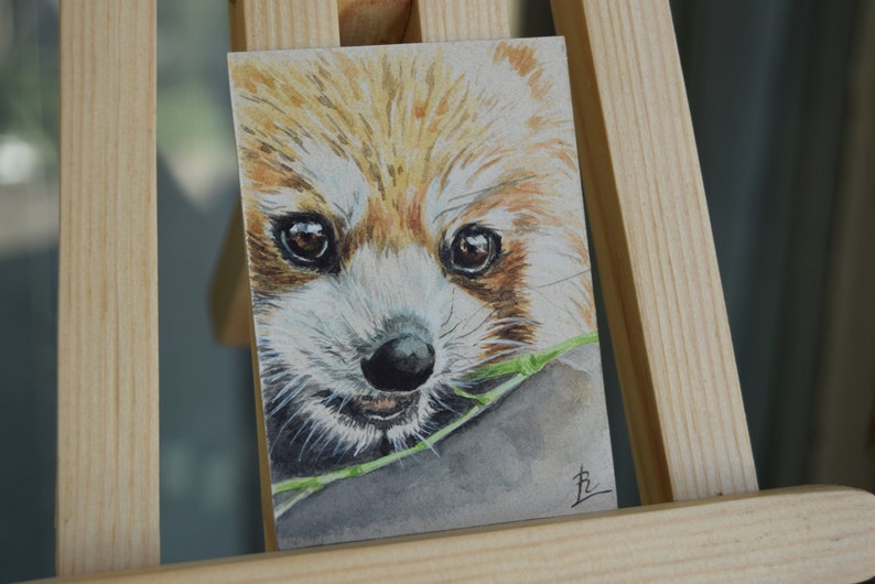 Wild animals cards collection Red Panda ACEO art Watercolor mini painting ATC ACEO original