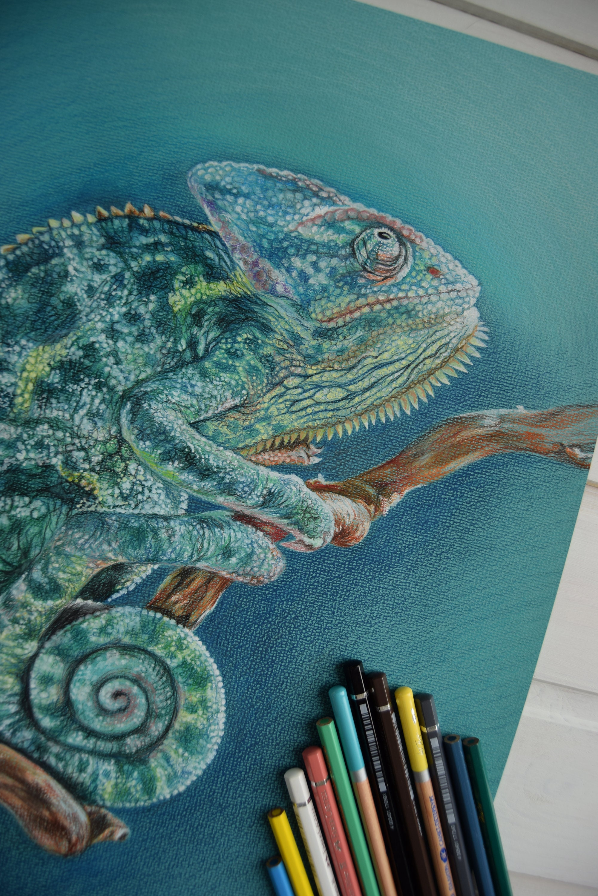 Chameleon Original hand drawn colored pencils drawing | Etsy
