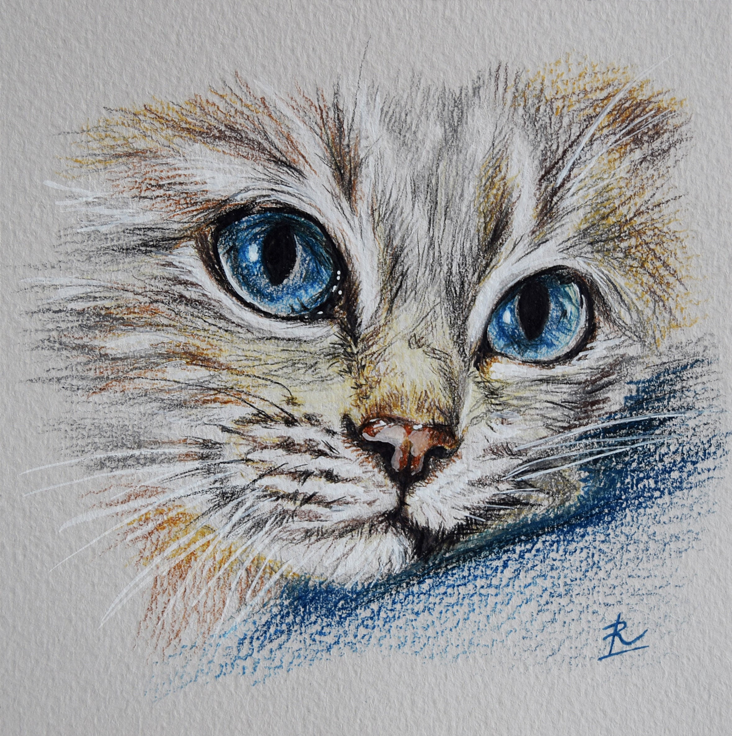 Кошка рисунок цветными карандашами