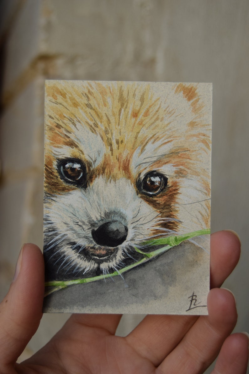 Wild animals cards collection Red Panda ACEO art Watercolor mini painting ATC ACEO original
