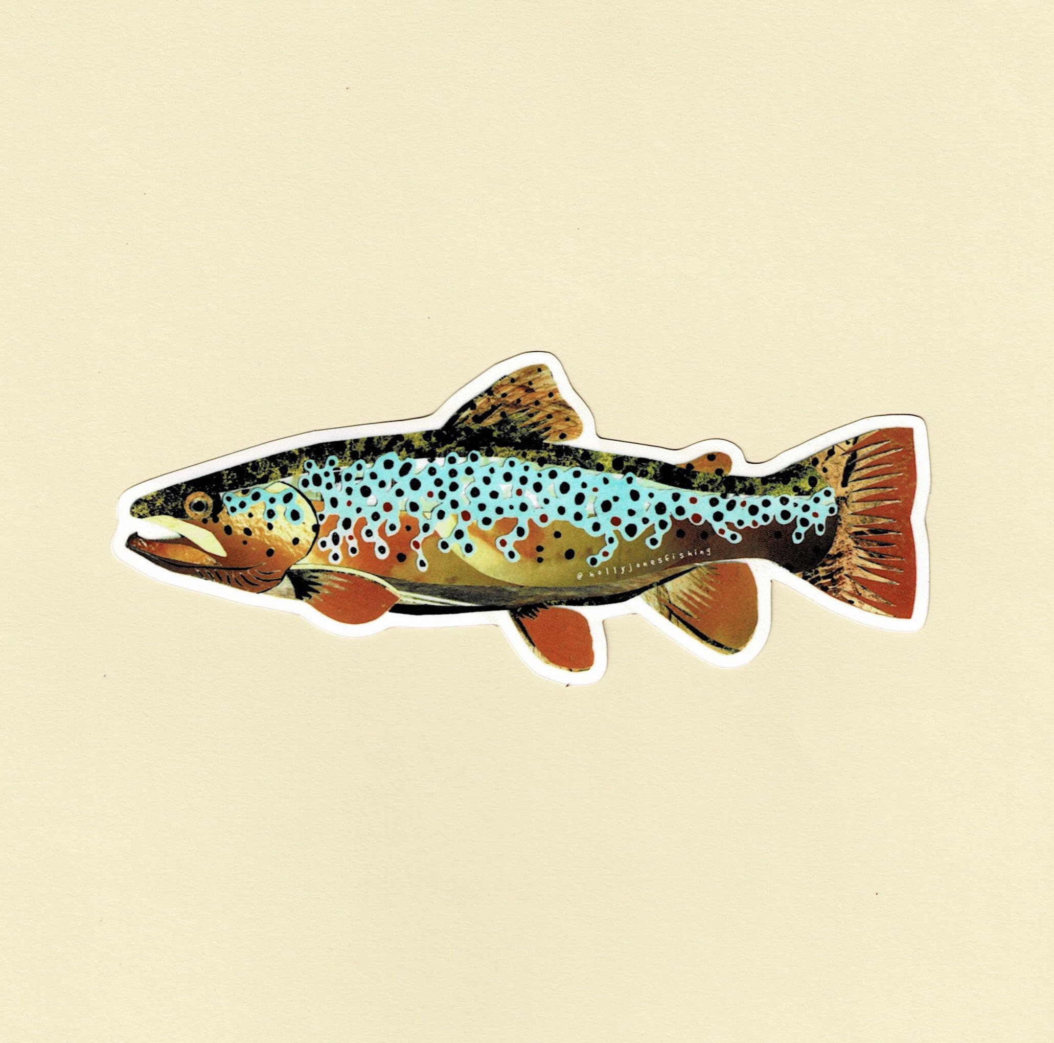 Brown Trout Sticker 5.5 length Etsy