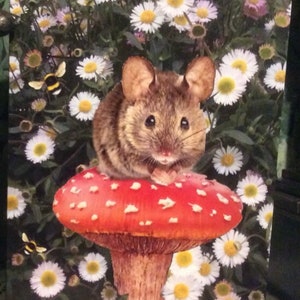 Maus Fliegenpilz Windhund alle Anlass Karte
