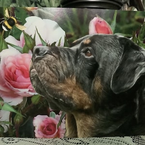 Carte toutes occasions lévrier Rottweiler