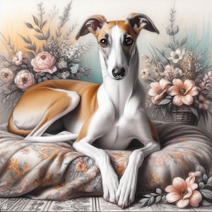 Greyhound, Whippet, biglietto di auguri per qualsiasi occasione