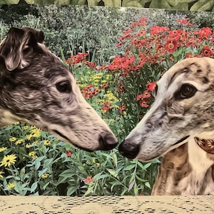 Tarjeta de felicitación de galgos