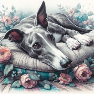 Tarjeta de felicitación para cualquier ocasión con galgo y whippet