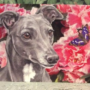 Whippet Windhund Lurcher alle Anlässe Karte