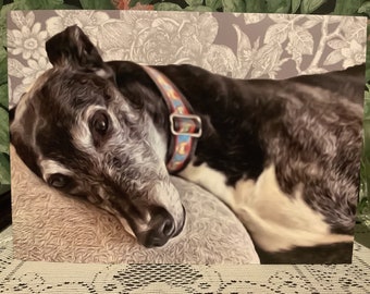Greyhound All Occasion Card