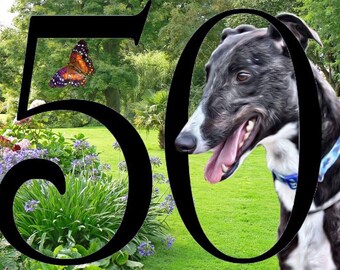 Greyhound whippet Lurcher 50th Birthday card