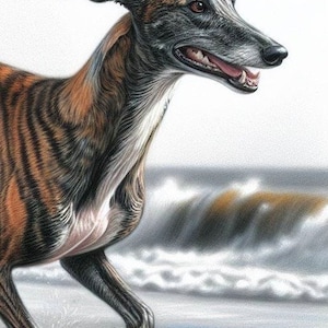 Tarjeta de felicitación para cualquier ocasión con un galgo atigrado