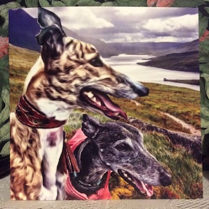 Tarjeta de felicitación de galgo, galgo, whippet