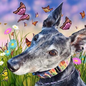 Greyhound Lurcher Whippet biglietto per tutte le occasioni