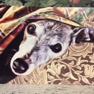Whippet Geburtstag, alle Anlasskarte