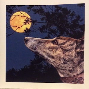 Tarjeta para cualquier ocasión: galgo, lurcher, whippet, lebrel