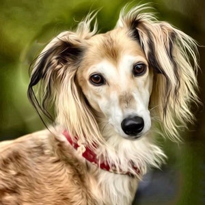 Saluki Greyhound Lurcher whippet biglietto per tutte le occasioni