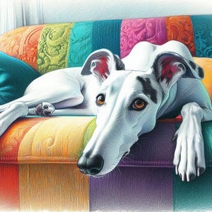 Carte de voeux lévrier blanc Whippet Lurcher pour toute occasion